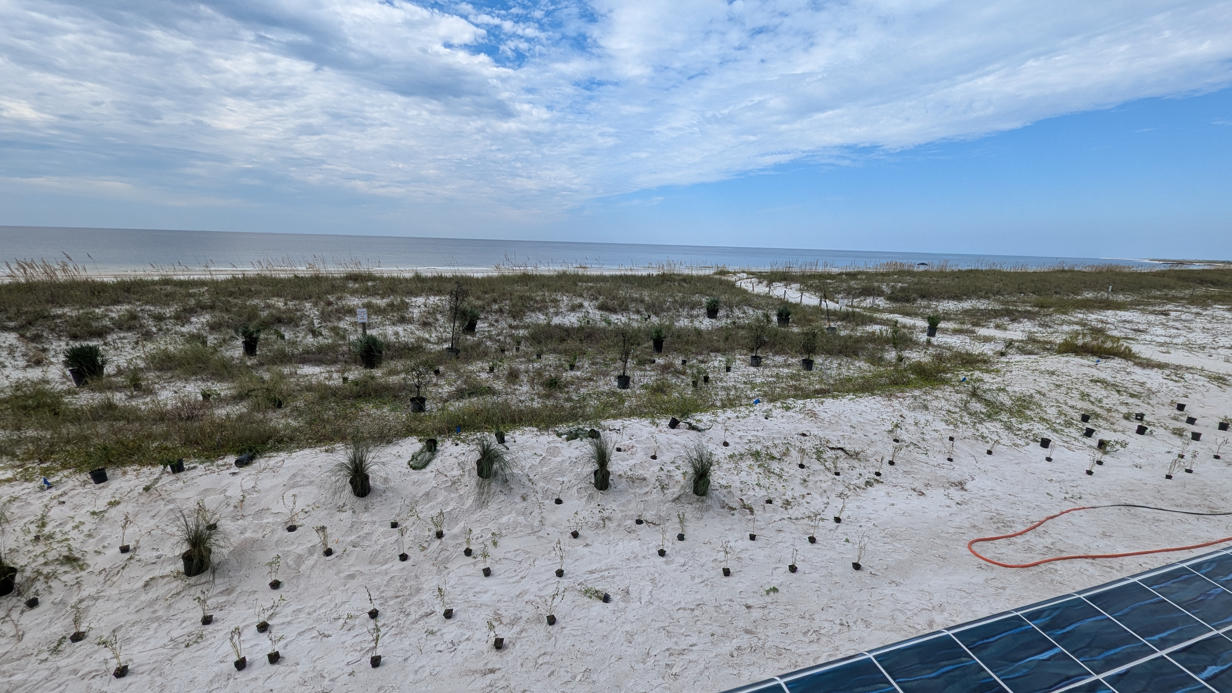 Living Restorations project Restoration project