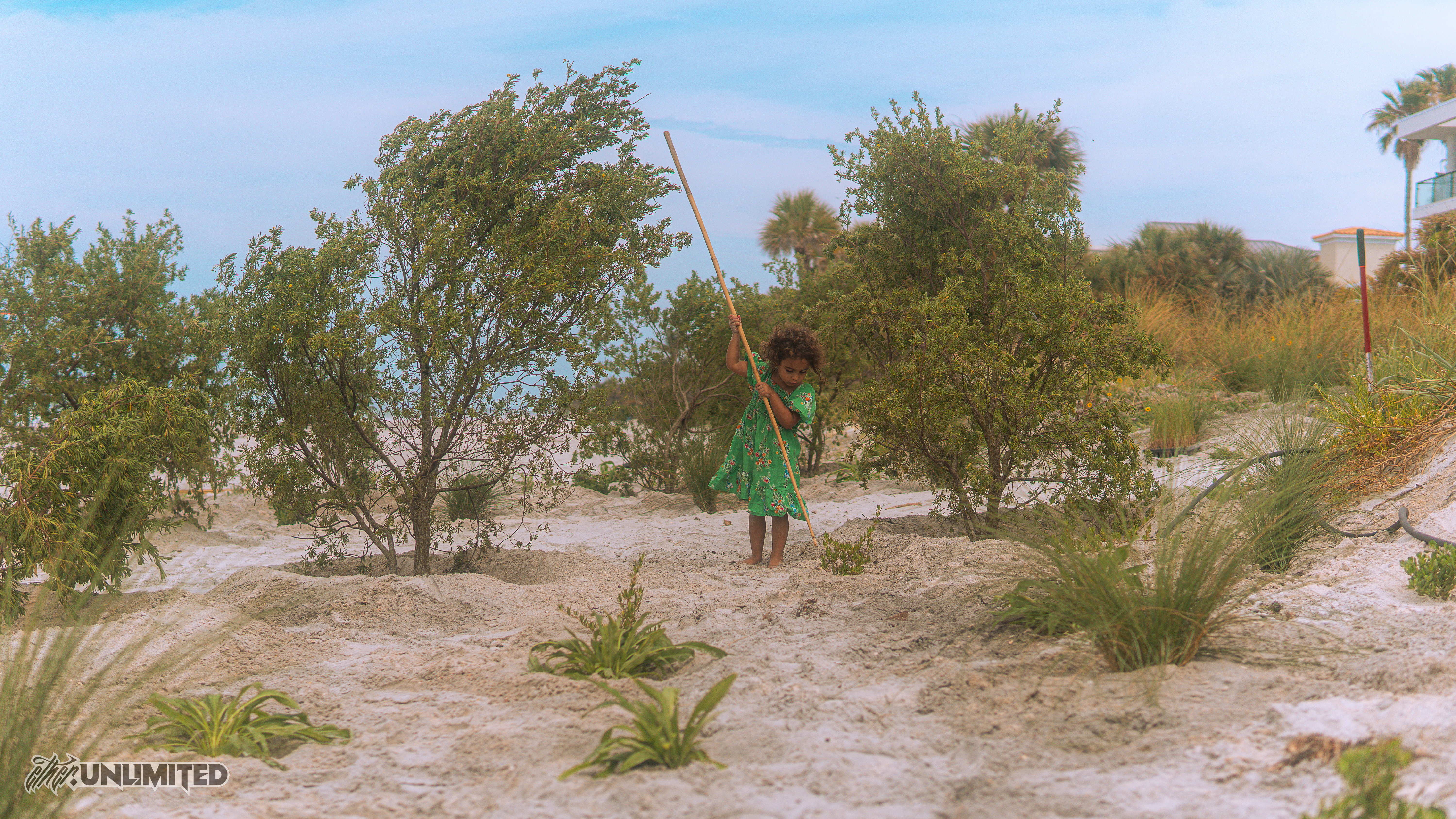 Living Restorations project Restoration project